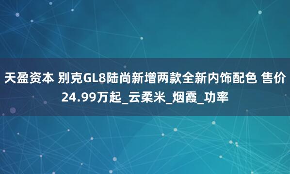 天盈资本 别克GL8陆尚新增两款全新内饰配色 售价24.99万起_云柔米_烟霞_功率