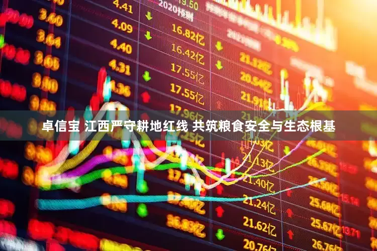 卓信宝 江西严守耕地红线 共筑粮食安全与生态根基