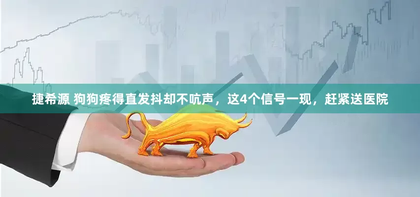 捷希源 狗狗疼得直发抖却不吭声，这4个信号一现，赶紧送医院