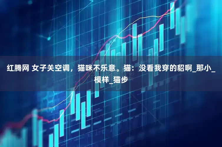 红腾网 女子关空调，猫咪不乐意。猫：没看我穿的貂啊_那小_模样_猫步