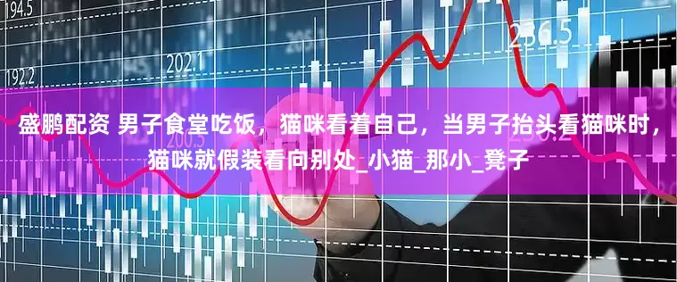 盛鹏配资 男子食堂吃饭，猫咪看着自己，当男子抬头看猫咪时，猫咪就假装看向别处_小猫_那小_凳子