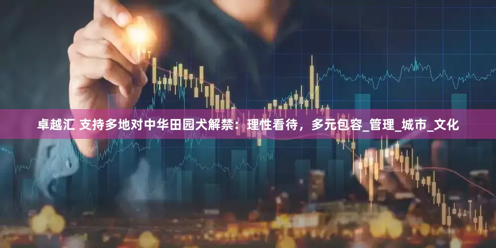 卓越汇 支持多地对中华田园犬解禁：理性看待，多元包容_管理_城市_文化