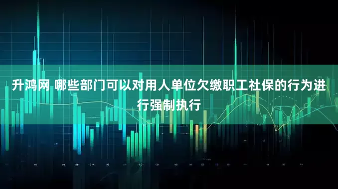 升鸿网 哪些部门可以对用人单位欠缴职工社保的行为进行强制执行