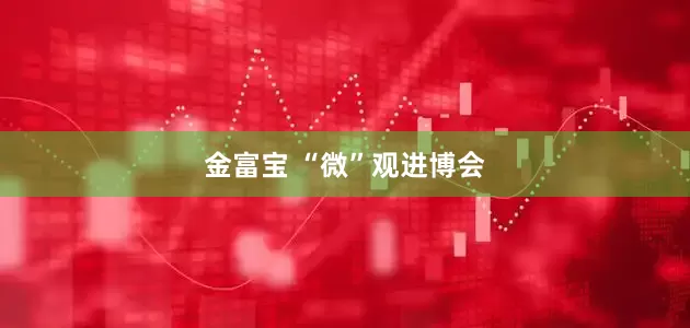 金富宝 “微”观进博会