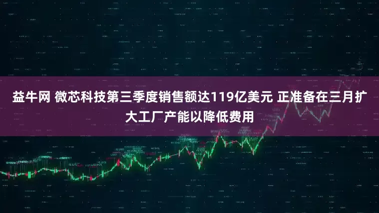 益牛网 微芯科技第三季度销售额达119亿美元 正准备在三月扩大工厂产能以降低费用